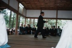 Iwama 1995