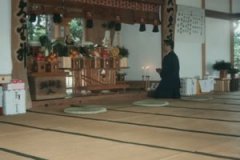 Iwama 1995