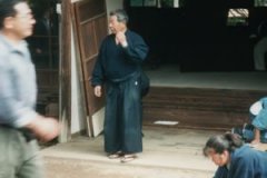 Iwama 1995