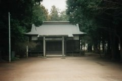 Iwama 1995