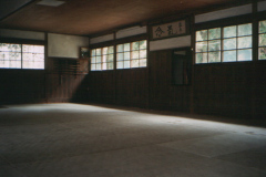 Iwama 1995