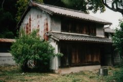 Tanabe 1995